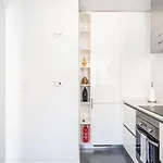Akicity Marques Aurora *